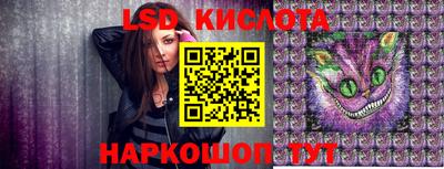 СК Волгодонск