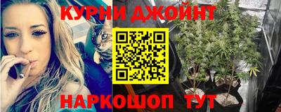 СК Волгодонск