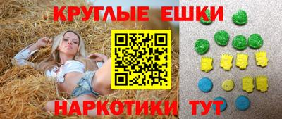 СК Волгодонск