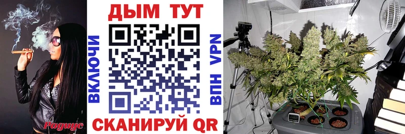 Купить где  Ржев  Канабис THC 21% 